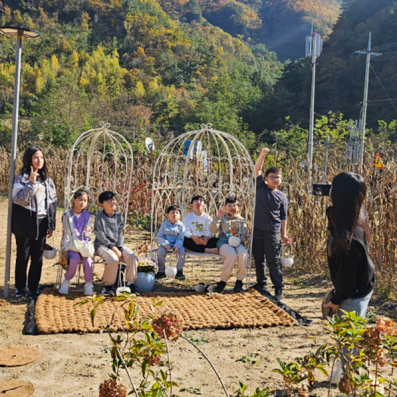 강원더몰,정선 쉼팩토리 농장 그라운딩 산책 꽃 약초 족욕 건강차 전통공예 체험